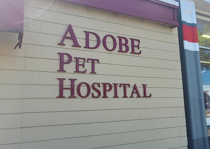 Carousel Slide 3: Adobe Pet Hospital